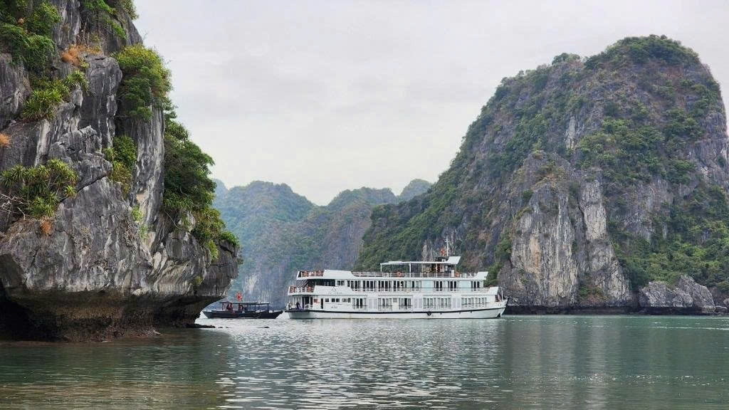 Lily Cruise 2 Days 1 Night